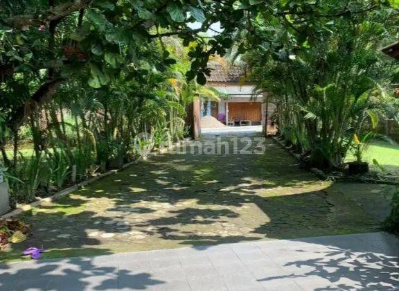 Rumah Murah Istimewa Strategis Tanah Luas Di Turi Sleman 10