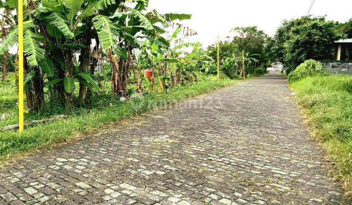 Tanah Murah Strategis Utara Amikom, UPN, FE UII Condongcatur Sleman 1