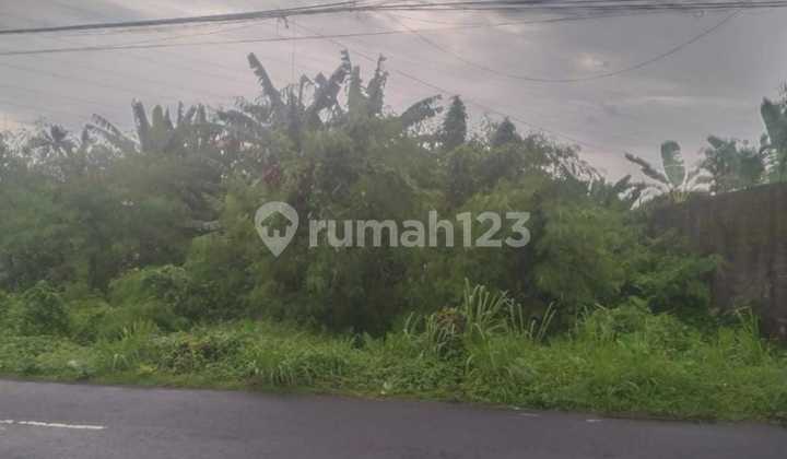 Tanah Istimewa Super Strategis Pinggir Jalan Utama Jambon Barat SKE 3