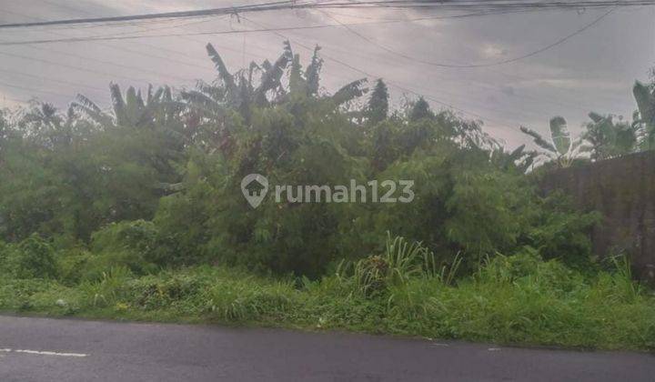Tanah Istimewa Super Strategis Pinggir Jalan Utama Jambon Barat SKE 5
