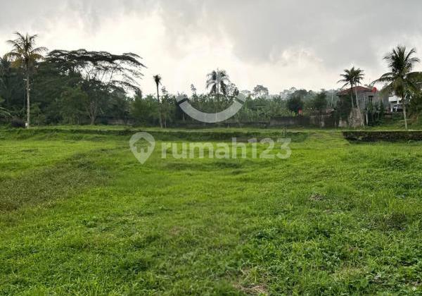 Tanah Luas Pinggir Jalan Raya di Cisarua Bogor 