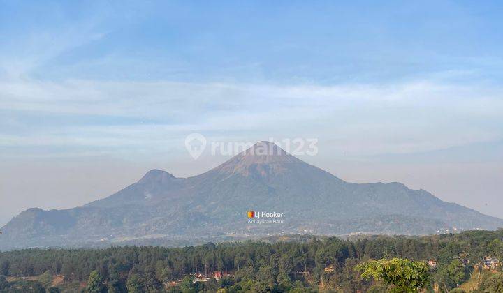 Tanah Daerah Pegunungan Mojokerto Cocok Untuk Villa Cafe 2