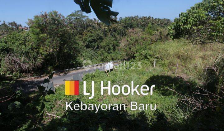 Large land in a very strategic location, rare items in Kemenuh Ubud, Bali 1