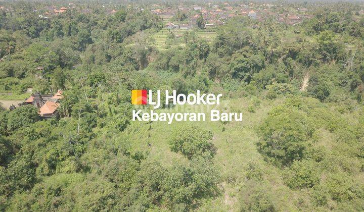 Large land For Sale in a Very Strategic Location, Rare Items in the area of ​​Ubud, Bali 2