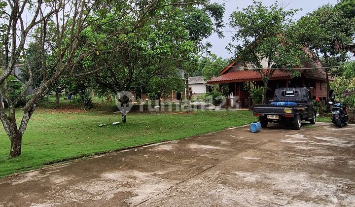 Dijual Villa Potensi Tinggi Buat Investasi Dijual Villa Potensi Tinggi Buat Investasi