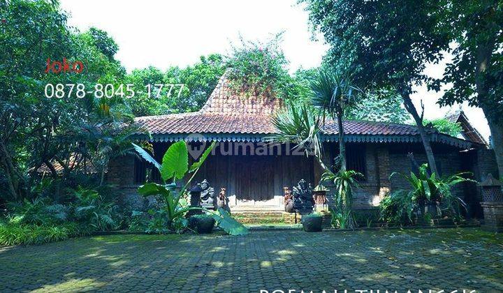 Rumah Gebyok Djawa M U R A H Area Jl. Pekapuran, Cimanggis, Depok 1