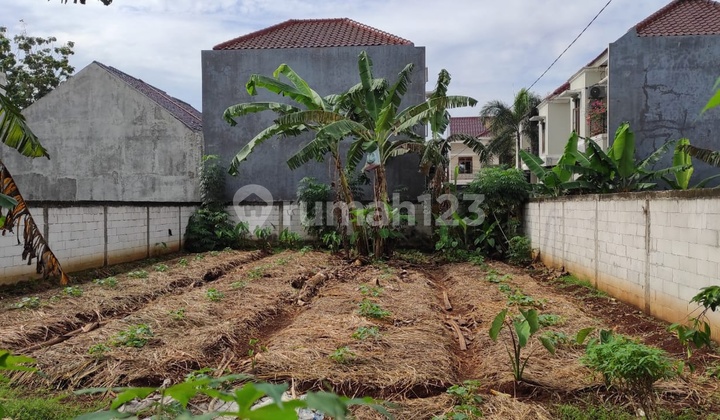 Tanah ISTIMEWA dalam Komplek Kavling UI Tanah Baru, Depok 2