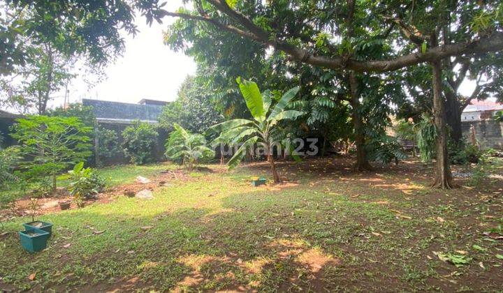 Jarang Adaa...rumah Kebun M U R A H di Condet, Jakarta Timur 2