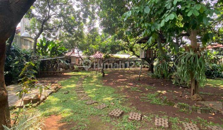 Jarang Adaa...rumah Kebun M U R A H di Condet, Jakarta Timur 4