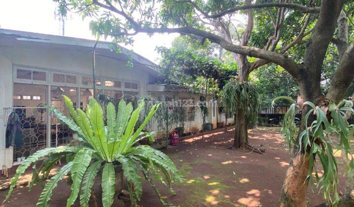 Jarang Adaa...rumah Kebun M U R A H di Condet, Jakarta Timur 1
