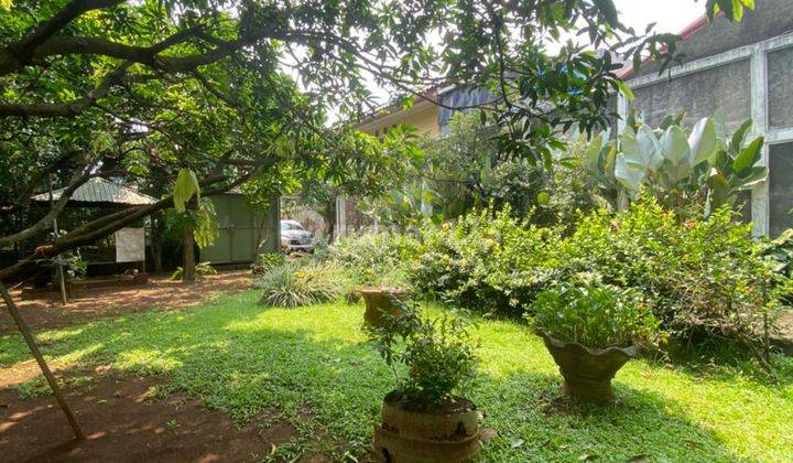Jarang Adaa...rumah Kebun M U R A H di Condet, Jakarta Timur 7
