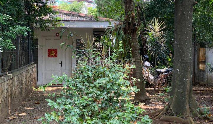 Jarang Adaa...rumah Kebun M U R A H di Condet, Jakarta Timur 9