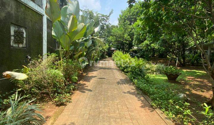 Jarang Adaa...rumah Kebun M U R A H di Condet, Jakarta Timur 10