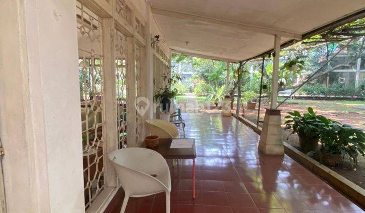Jarang Adaa...rumah Kebun M U R A H di Condet, Jakarta Timur 12