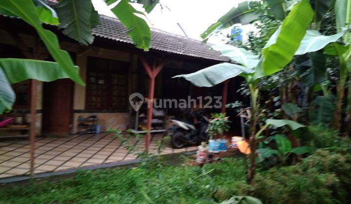 Rumah Kebun Hitung Tanah Lokasi Istimewa di Lenteng Agung, Jakarta 1