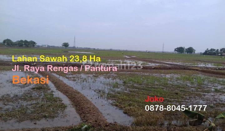 Tanah Sawah Istimewa Jl. Raya Rengas Pantura, Lemah Abang, Bekasi