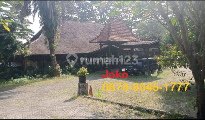 Lahan Istimewa T E R M U R A H di Jl. Jeruk Purut, Cilandak