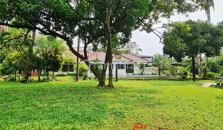 Rumah Kebun T E R L U A S Hitung Tanah Belakang Citos, Cilandak 2