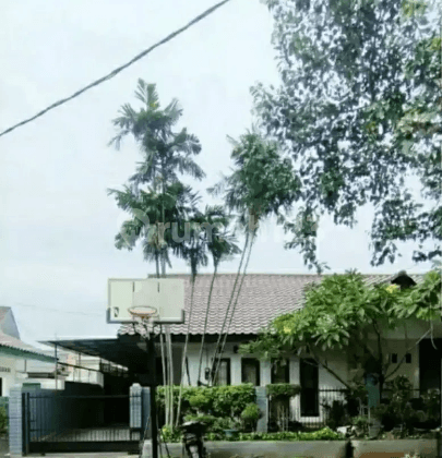 Rumah Asri di Komplek Keuangan Cilandak, Jakarta Selatan 1