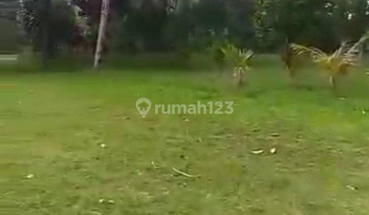 Tanah Murah Subang Dkt Ciater Cocok Perumahan Resort Asri Strategis 2