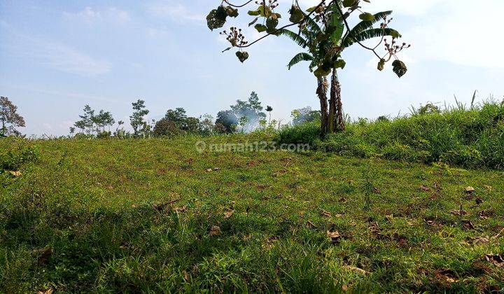 Murah di Asrikaton Pakis bisa jadi 3 rumah 1