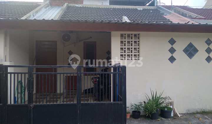 Jual Cepat Di Paniai Sawojajar 1