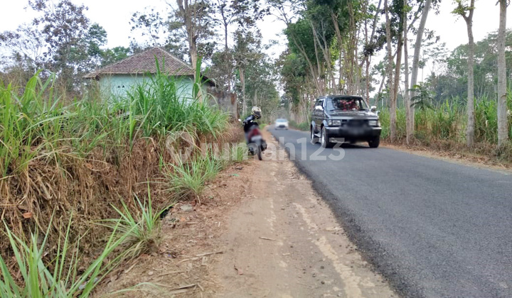 Murah Cocok Untuk Usaha Di Tajinan- Bululawang