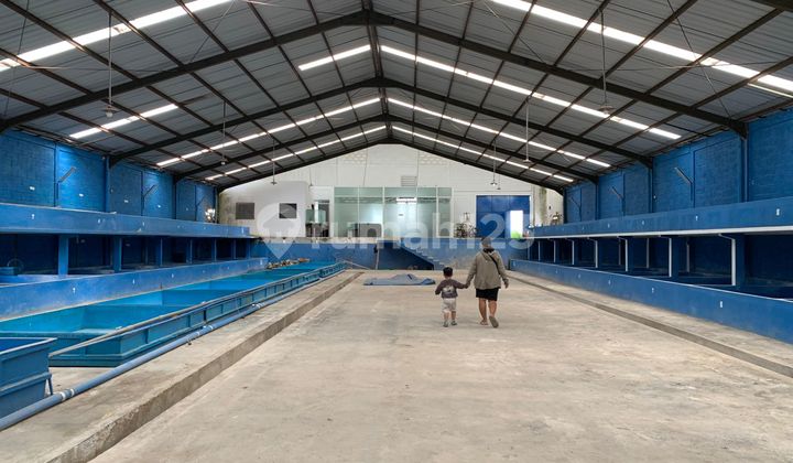 Need Cash, Quick Sale of Warehouse in Wagir, Malang Need Cash, Quick Sale of Warehouse in Wagir, Malang