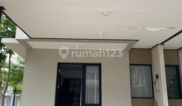 Disewakan Rumah Milenial 4,5 x 10  PIK 2 Hanya 47 Juta Per Tahun