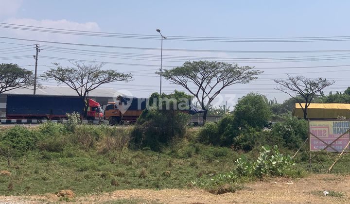 For Sale: Ready-to-Build Land in Kaliwungu Area, Kendal - 10869 For Sale: Ready-to-Build Land in Kaliwungu Area, Kendal - 10869