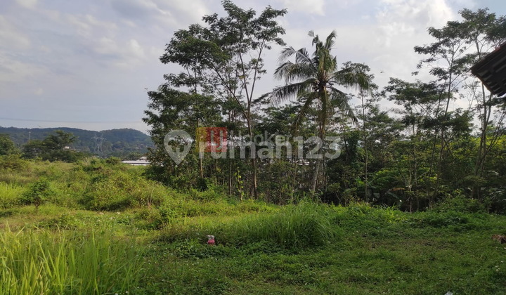 Jual Tanah Zona Industri Siap Bangun Untuk Gudang Dan Perumahan Bergas Kabupaten Semarang 7363 6