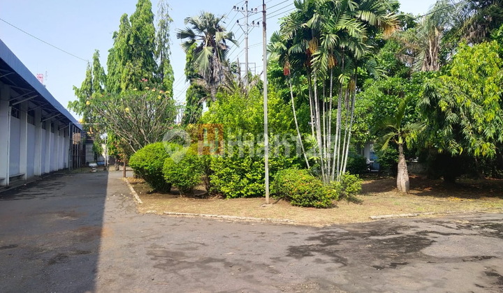 Gudang Siap Pakai, Cocok Usaha Dan Industri Siliwangi Semarang Barat 6854 4