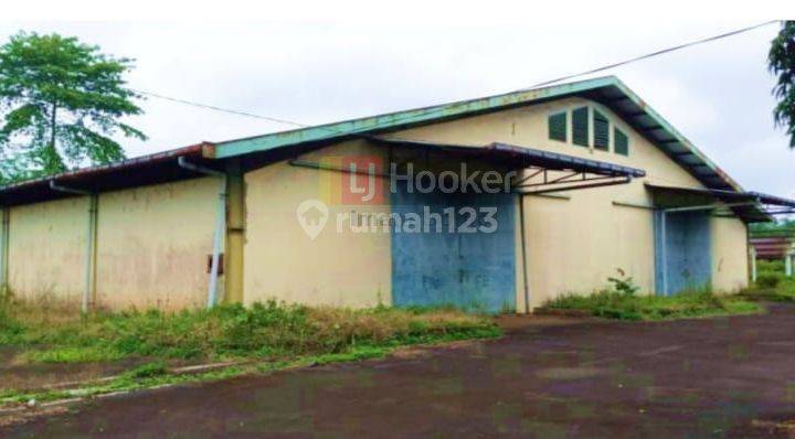 Gudang Siap Pakai,cocok Usaha Dan Kantor Sukorejo Kendal 7481 4