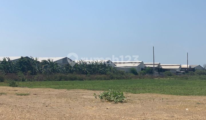 For Sale: Ready-to-Build Land in Kaliwungu Area, Kendal - 10869 For Sale: Ready-to-Build Land in Kaliwungu Area, Kendal - 10869