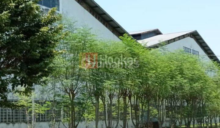 Sewa Gudang Siap Pakai, Cocok Usaha Dan Industri Jalan Raya Semarang Kendal 7248 1