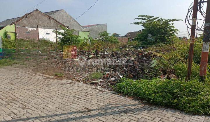 Jual Tanah Siap Bangun Jalan Tlogo Biru,tlogosari, Semarang 9514 1