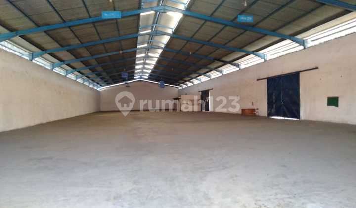  Gudang Siap Pakai, Cocok Usaha Industri  Jl.Walisongo. Tugu Semarang – 4466 1