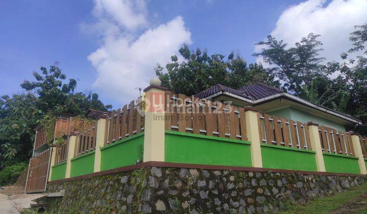 Rumah cantik dan nyaman dengan pemandangan pepohonan perbukitan di Kuwasen jepara 7516 2