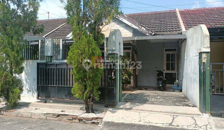 Rumah 1 lantai tengah kota dekat bandara di Puri Anjasmoro semarang barat 9216 1