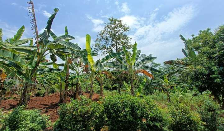 Tanah Siap Bangun Daerah Mijen Semarang - 10701 2
