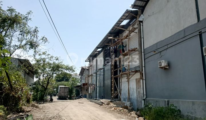 Gudang dengan Loading Dock, Cocok Usaha Indsutri Lik Kaligawe - 11295