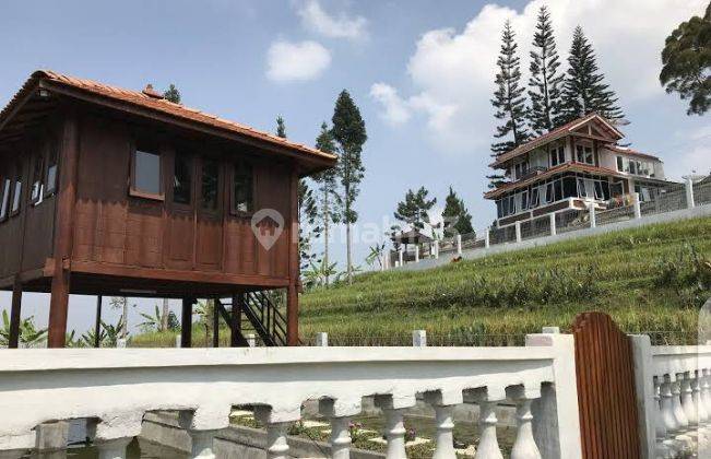 Dijual villa kebun dan camping ground 9
