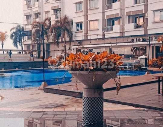 Apartemen Poins Square Bagus