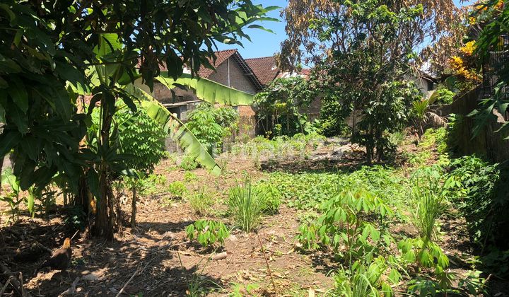 Rumah 2 Lantai Bagus SHM di Rumah Tinggal
ngaglik, Sleman
jogja Utara
, Sleman 1