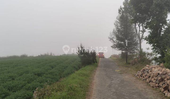 Tanah Murah Strategis Potensial Untuk Perkebunan di Kota Batu  2