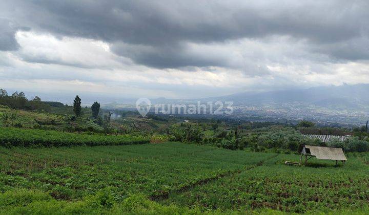 Tanah Murah Luas Strategis Cocok Untuk Investasi di Kota Batu 2