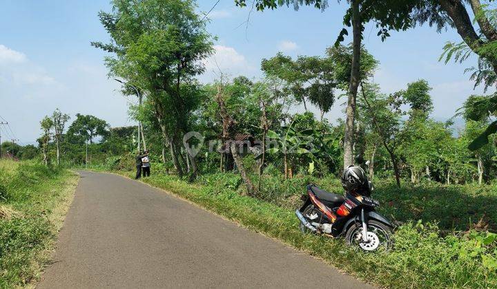 Tanah Luas Termurah Subur Mudah Dijangkau di Purwodadi Pasuruan  2