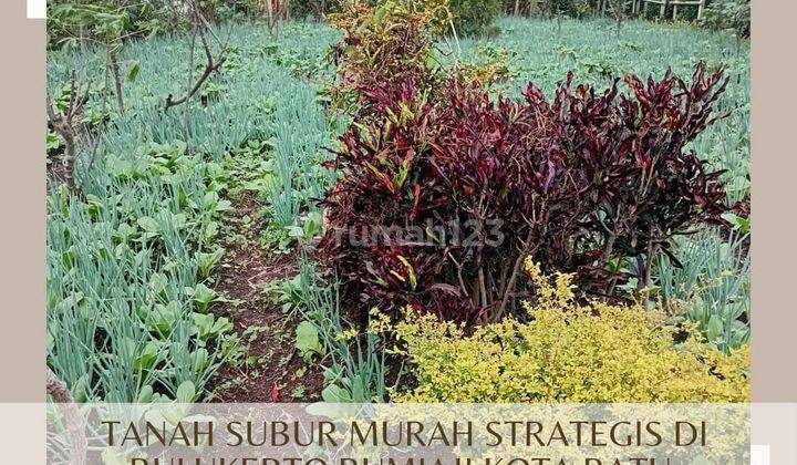 Tanah Pekarangan Subur Murah Strategis di Bulukerto Kota Batu 1