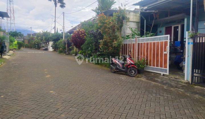 Rumah Strategis Murah Luas Siap Huni di Dau Malang 5