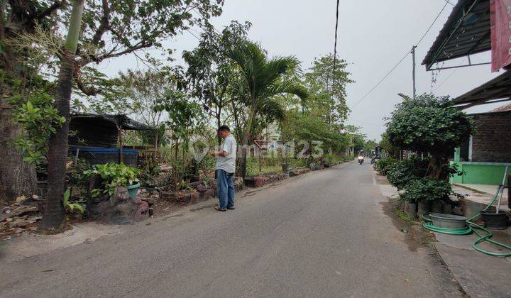 Tanah Luas Poros Jalan Untuk Usaha di Magersari Mojokerto  2